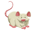 老鼠 Rata