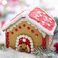 薑餅屋 gingerbread house