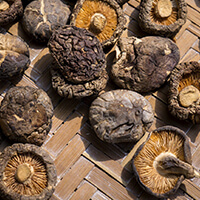 香菇 mushroom