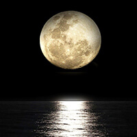月光 moonlight