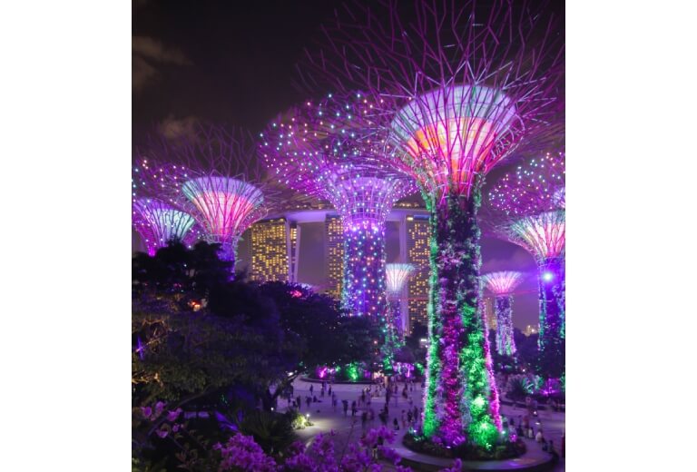 新加坡推薦景點-濱海灣花園