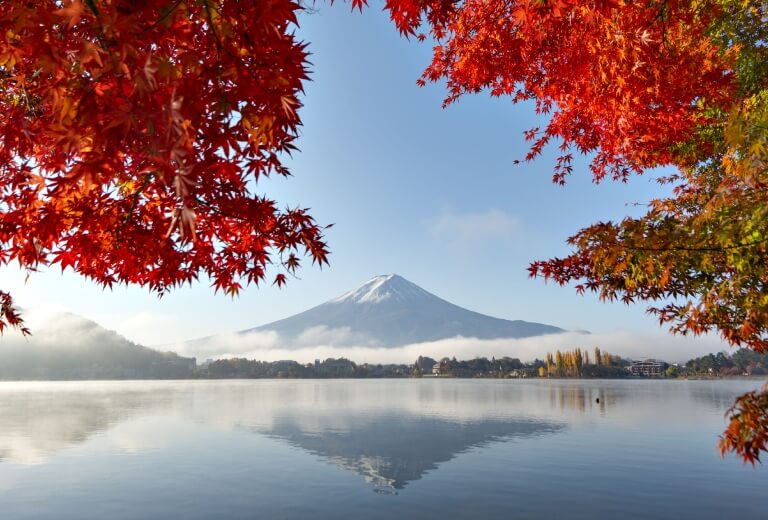 音樂森林│富士山 日本楓葉│富士山