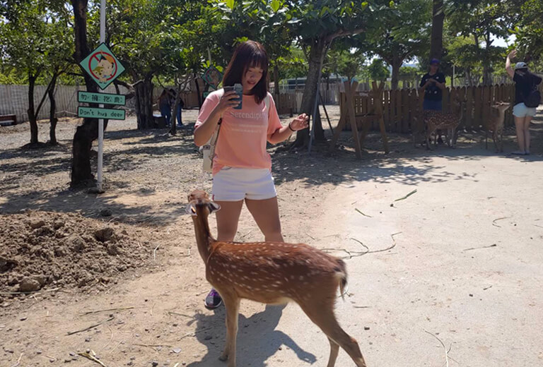 學員黃怡婷推薦巨匠線上日語課程，學習沒有挫敗感，隨時發問很放心